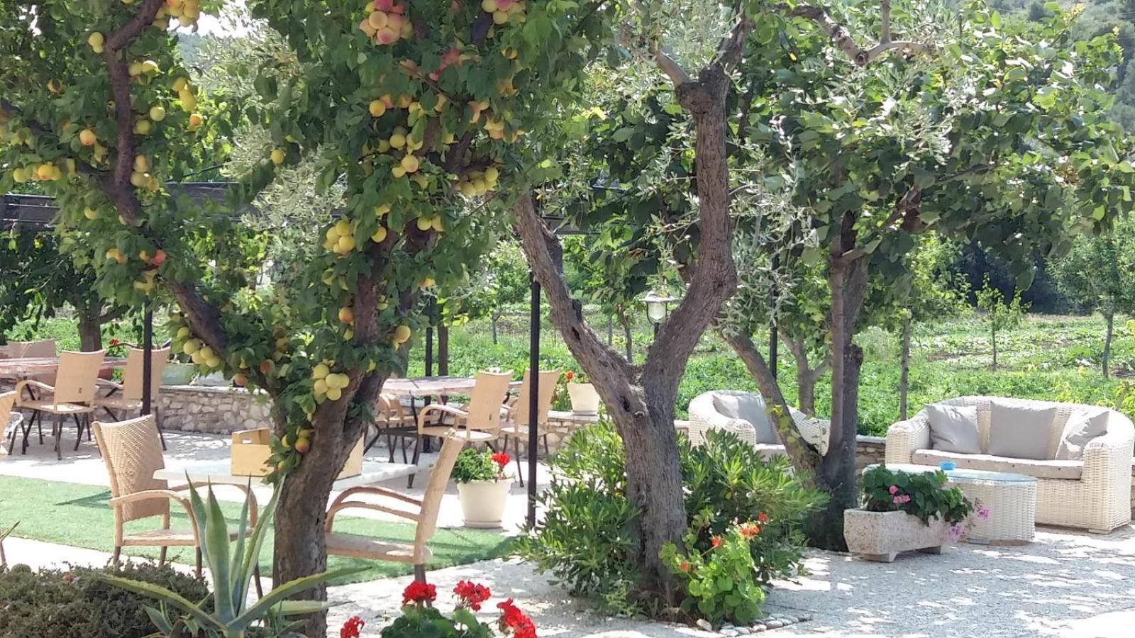 Il Gelso Bianco Hotel Vieste Bagian luar foto
